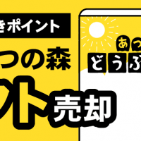 確認すべきポイントどうぶつの森ソフト売却
