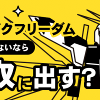 MGEX・ストライクフリーダム・組む予定がないなら・買取に出す？