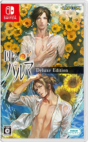 囚われのパルマ デラックス エディション -Switch買取ページのメインイメージです。