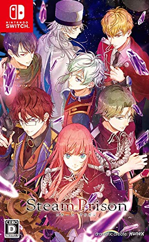 スチームプリズン - Switch買取ページのメインイメージです。