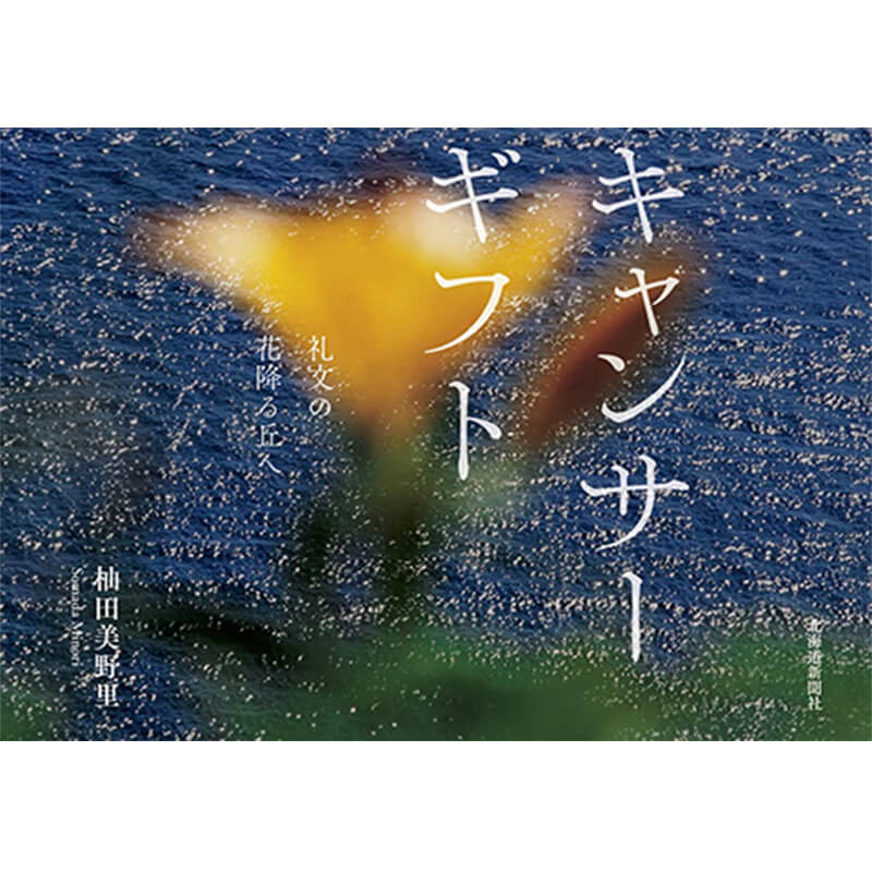 キャンサーギフト 礼文の花降る丘へ / 杣田美野里の買取商品イメージ