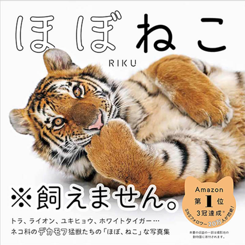 ほぼねこ / RIKUの買取商品イメージ
