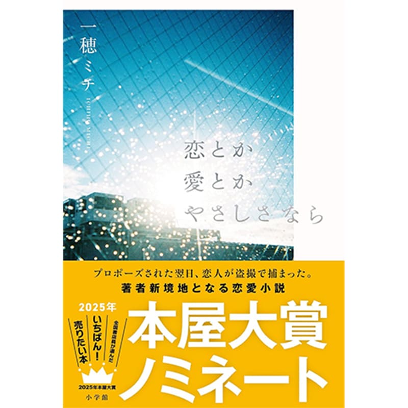 恋とか愛とかやさしさなら / 一穂ミチの買取商品イメージ