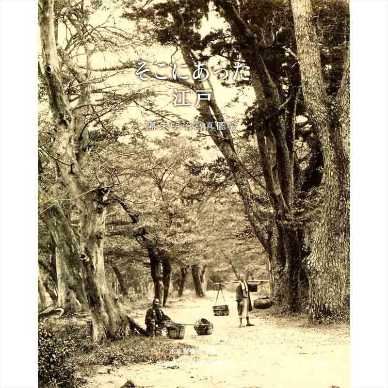 上條真埜介 / そこにあった江戸の買取商品イメージ