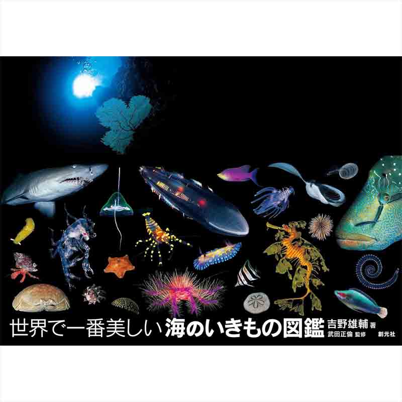 世界で一番美しい海のいきもの図鑑 / 吉野雄輔の買取商品イメージ