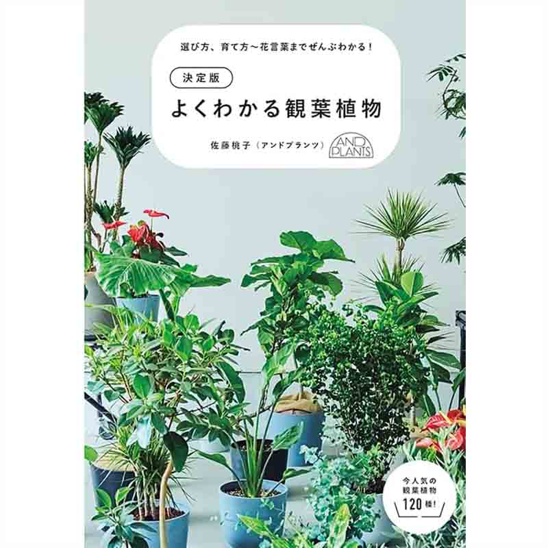 決定版 よくわかる観葉植物 / 佐藤桃子の買取商品イメージ