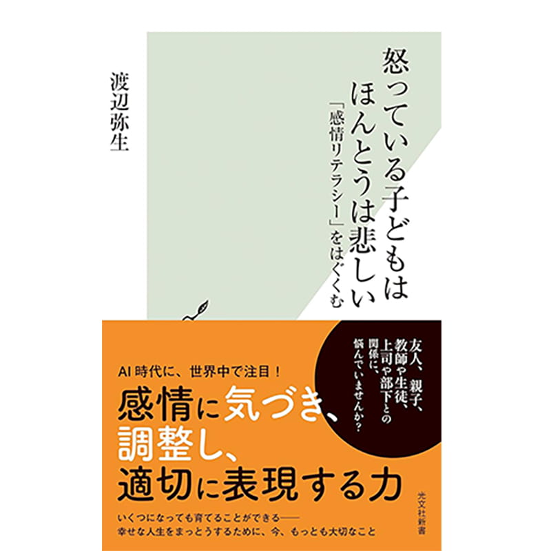 怒っている子どもはほんとうは悲しい　「感情リテラシー」をはぐくむ / 渡辺弥生の買取商品イメージ