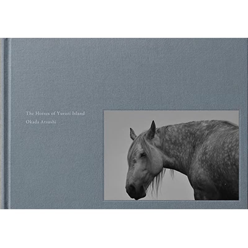 The Horses of Yururi Island ユルリ島の馬 / 岡田敦の買取商品イメージ