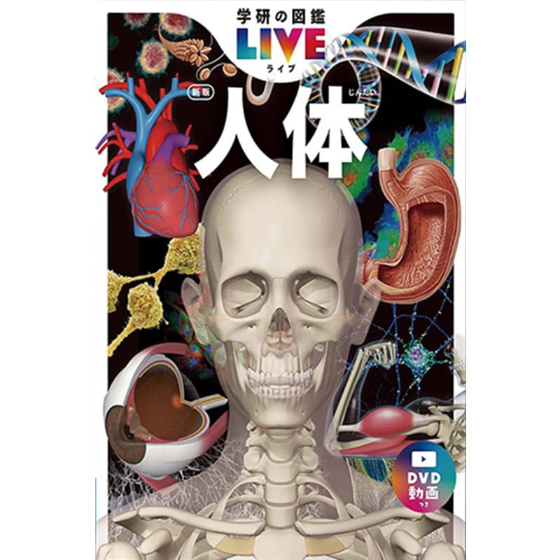 人体 新版 / 阿部和厚の買取商品イメージ