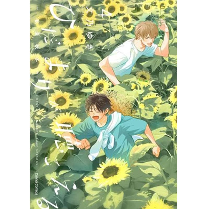 ひだまりが聴こえる 1-9巻セット / 文乃ゆきの買取商品イメージ