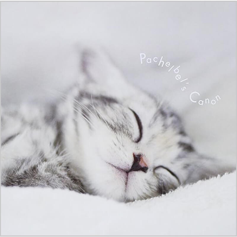 オムニバス, 他 / まるごと！パッヘルベルのカノンの買取商品イメージ