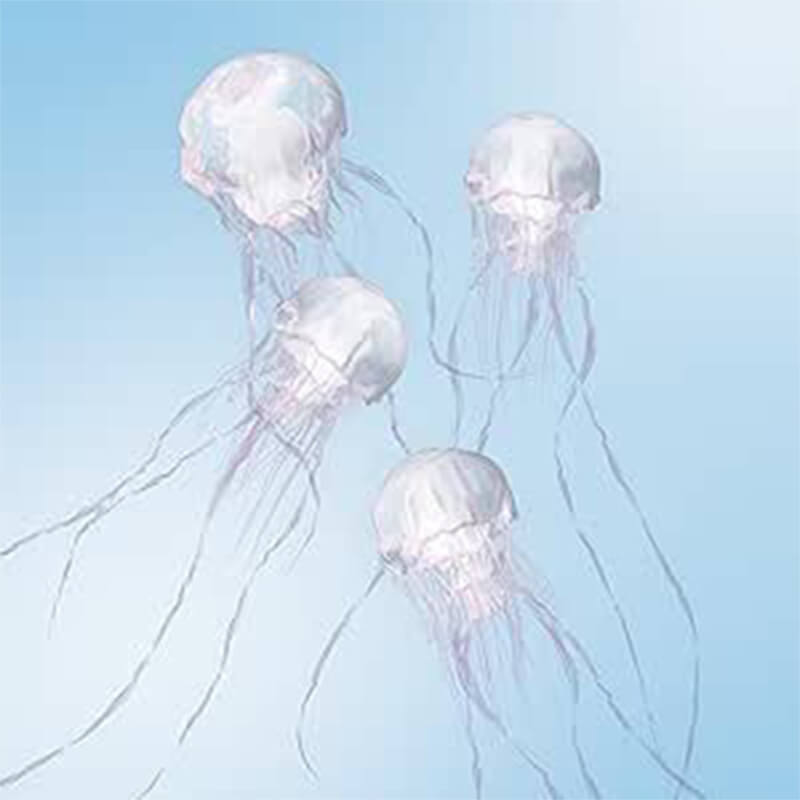 SCANDAL / LUMINOUS 通常盤 CD

買取のイメージ