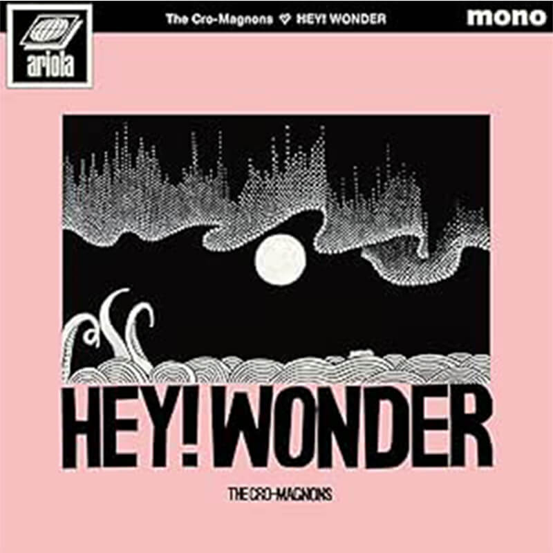 ザ・クロマニヨンズ / HEY! WONDER 通常盤 CD 特典なし買取のイメージ