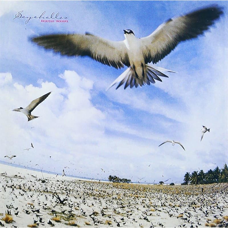 高中正義 / SEYCHELLESの買取商品イメージ