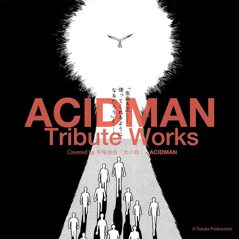 ACIDMAN / ACIDMAN Tribute Worksの買取商品イメージ