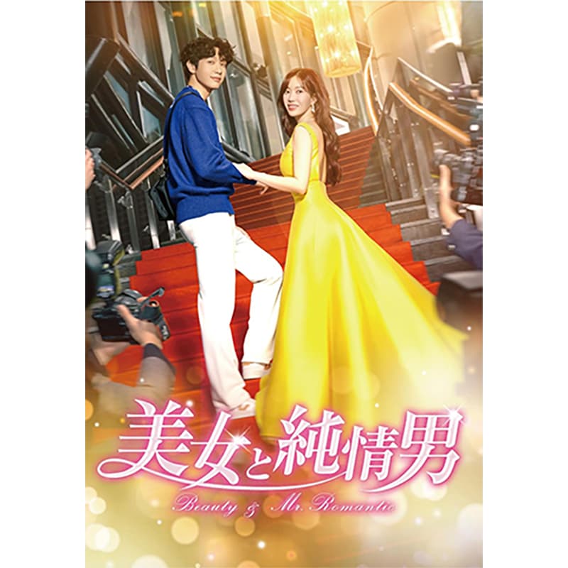 美女と純情男 DVD-BOX５の買取商品イメージ