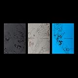 ENHYPEN [THE SIN : VANISH] （韓国盤【正規輸入盤】 [CD] ENHYPEN