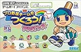 プロ野球チームをつくろう!アドバンス [video game]