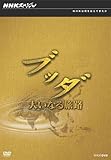 NHKスペシャル ブッダ 大いなる旅路 DVD-BOX [DVD]