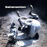 多分、風。 (完全生産限定盤[CD+DVD]) [CD] サカナクション